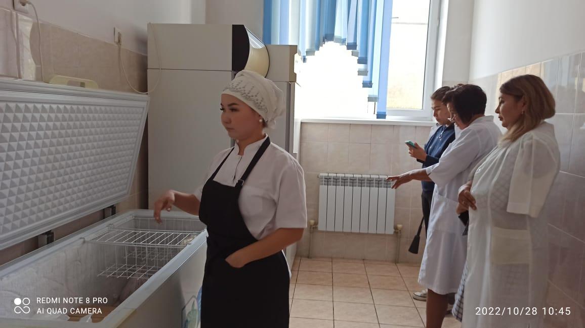 комиссия мүшесінің кезекті тексеруі