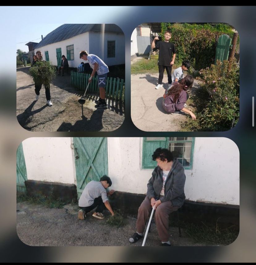 Ардагерлерге көмектесу